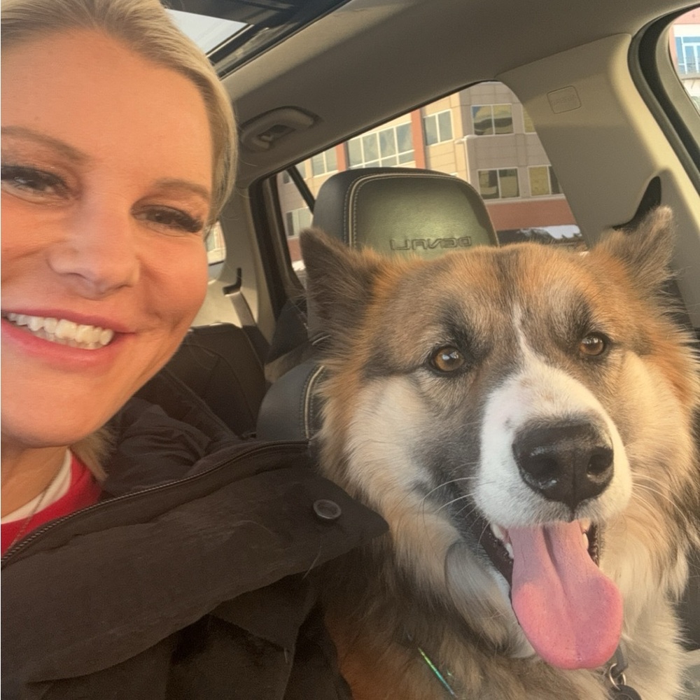 Meet your Posher, Posh